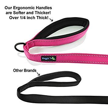Wagtime Club Soft &Thick Dual Handle Dog Leash, Premium Nylon Double Padded Handles For Medium, Large Or Xlarge Dog Classic Comfort (Reflective Lively Pink) #TOP1