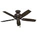 Hunter Donegan Indoor Ceiling Fan with LED Light and Pull Chain Control, 44