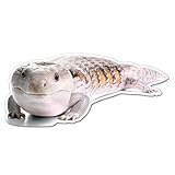 Dark Spark Decals Blue Tongued Skink - 4 Inch Full Color Vinyl Decal for Indoor or Outdoor use, Cars, Laptops, Décor, Windows, and More