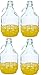 Price comparison product image 4 x glass balloon fermentation balloon glass bottles wine balloon 5 L clip closure BDP5D