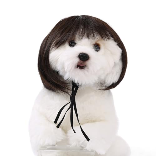 Peluca divertida para mascotas Halloween Qiansail miniatura 4