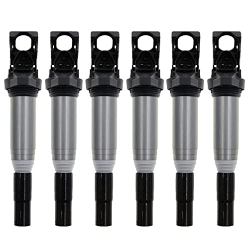 6 �̓_�΃R�C�� 12138616153 12137594596 BMW N52N N54 E60 E90 F10 N20 �G���W�� 520Li/525Li/535Li/ 740Li/X1/X3 �ƌ݊�������(6 PCS)