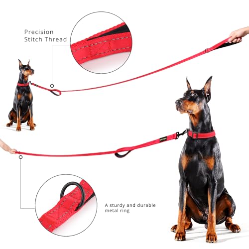 Image of Pioneer Petcore 6ft Red Dog Leash, Double Handles, Heavy Duty, Reflective, Control, Safety, Training