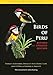 Birds of Peru: Revised and Updated Edition (Princeton Field Guides)