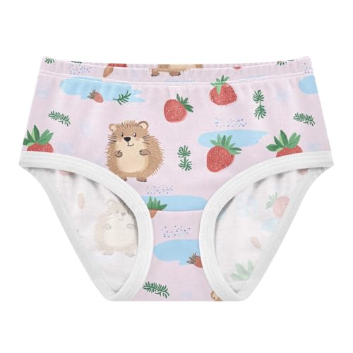 Wusikd Cute Hedgehog Girls' Underwear Cotton Strawberries Pink Girls Briefs Soft Toddler Underwear 2T
