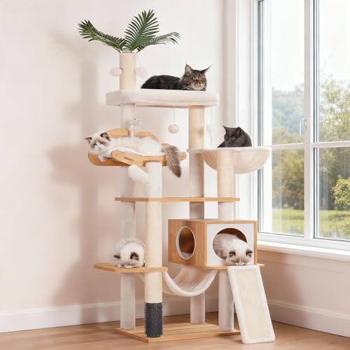 Heybly Arbre à Chat Moderne, Arbre à Chat en Bois avec 5 Griffoirs...