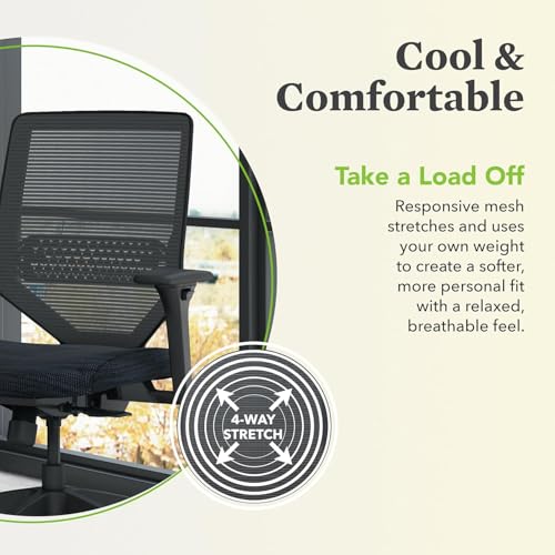 Image of HON Solve Office Chair, Ergonomic Office Chair Mesh Back Support, Adjustable Lumbar Support, Height Adjustable Arms, Black Frame, Peacock