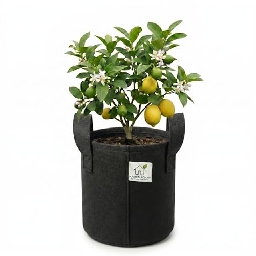 Image of 400 GSM Geo Fabric Round Grow Bags 8x8 Inch with Handle, Black Planting Bags for Terrace and Kitchen Gardening Pack of 1
