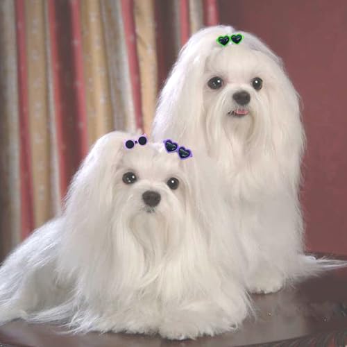 DHER 10 Stück Haarspangen für kleine Haustiere Haustierklammern Pet Hair Clips Kleine Tiere Haar Clip Hund Kopfbedeckung Süße Katze und Zubehör für Hundepartys (A)