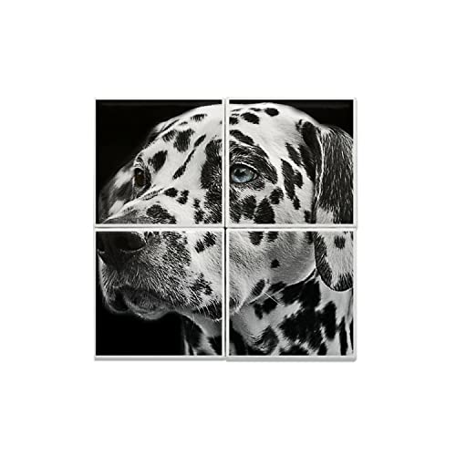Carreaux céramique Dalmatien 20x20 cm en lot de 4 pour fresque murale decorative de 40x40 cm