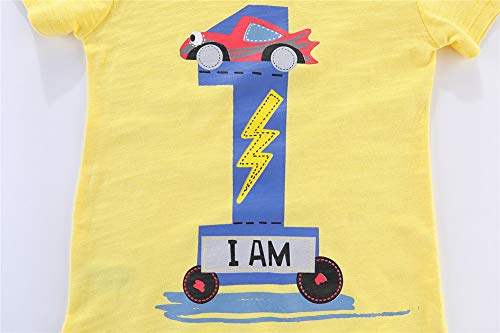 Image of Mud Kingdom Little Girls Birthday Shirt Long Sleeve Cute Cartoon