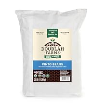 Organic Dried Pinto Beans 25 lb bulk - Non-GMO, Tested Clean Certified, Vegan - Rich in Fiber & Protein for Soups, Burritos, Salads, and Chili - Farmed From Regenerative Soil, Grown In USA by a Wisconsin Family Farm