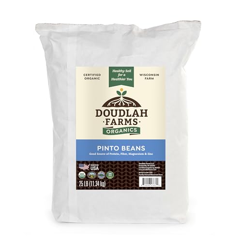 Organic Dried Pinto Beans 25 Lb Bulk - Non-Gmo, Tested Clean Certified, Vegan - Rich In Fiber & Protein For Soups, Burritos, Salads, And Chili - Farmed From Regenerative Soil, Grown In Usa By Doudlah Farms