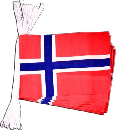 Guirlande drapeau Norvège Digni 5,9 m en textile résistant aux finitions soignées