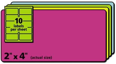 High-Visibility Removable ID Labels, Laser/Inkjet, 2 x 4, Asst. Neon, 120/Pack