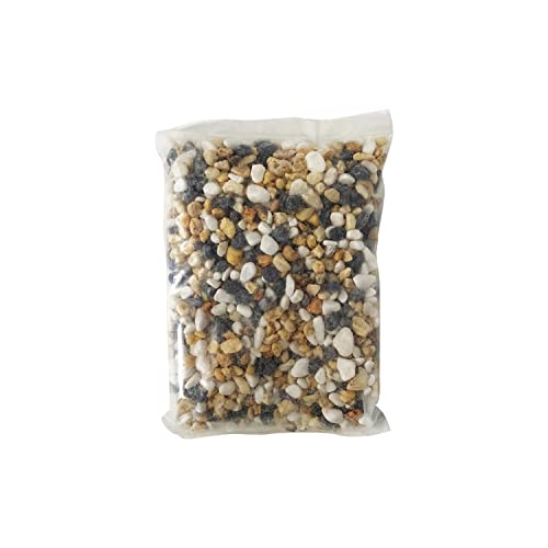 AQPET One Mini Acquario in Vetro Colore Nero 20 Litri Completo di Accessori 36x22x26h - Image 8