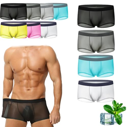 Niksy Sheer Underwear for Men, 5pcs Mens Ultra-Thin Ice Silk Transparent Boxer Briefs, Seamless Breathable Cool
