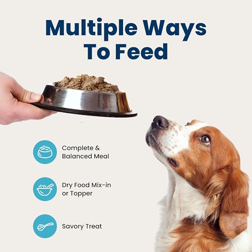 Blue Buffalo Homestyle Recipe Lamb Adult Wet Dog Food, 12.5 oz, 3 ct - image 8