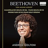 Beethoven: Con Alcune Licenze