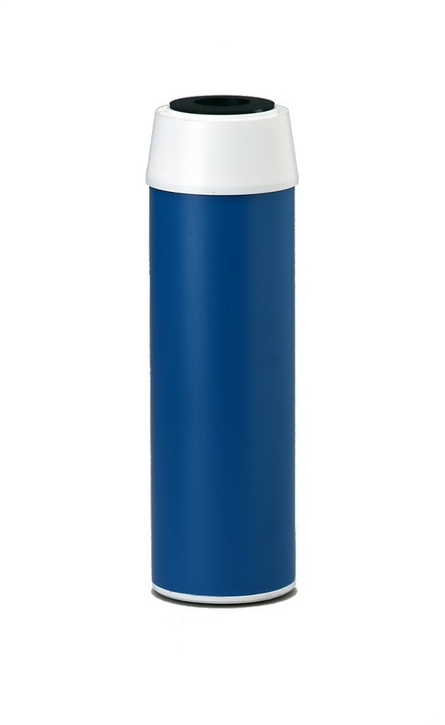 Everpure EV9108-13 CGT-10s Cartridge