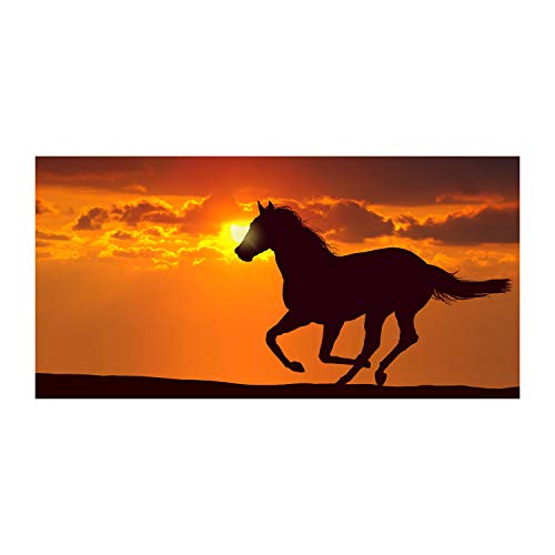Splashback guard cuisine 120x60cm protection murale design animaux cheval Tulup