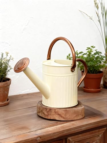 Bamworld Watering Can for Indoor Outdoor Plant Metal Watering Can