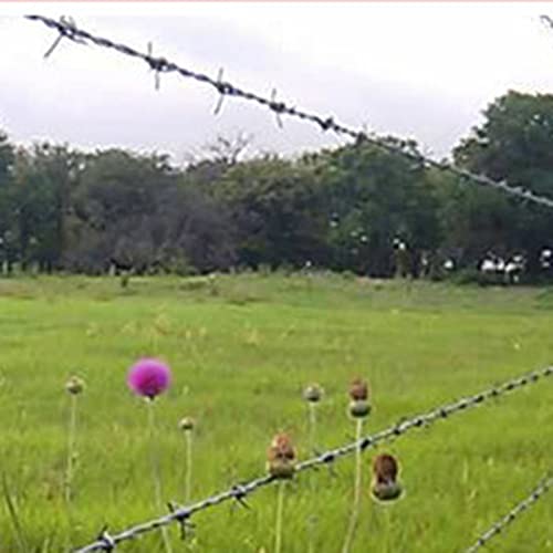 Alambre de púas galvanizado de acero resistente de 2.3mm con púas de 15mm y 4 puntas, ideal para cercas de jardín y suministros para pasturas (Tamaño: 100m, Color: Plata) miniatura 6