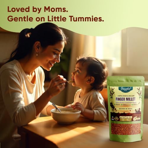 Danodia Finger Millet Whole Grain 450g | Nutrient-Rich, Gluten-Free Unpolished Ragi/Kelvaragu with High Fiber & Protein, Ideal for Porridge, Rotis & Baking