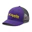 Lsu - Vivid Purple/Charcoal