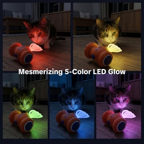 Skasii Interactive Cat Toy - image 4