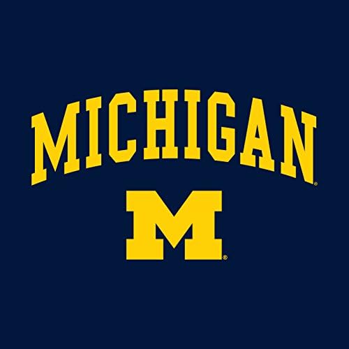 UGP Campus Apparel AH03 - Michigan Wolverines Arch Logo Hoodie - Large - Navy - 3