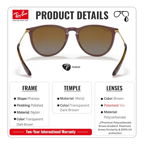 Image of Ray-Ban RB4171 ERIKA CLASSIC Phantos Shaped Sunglasses for Women with Official RAYBAN Eyewear Kit
