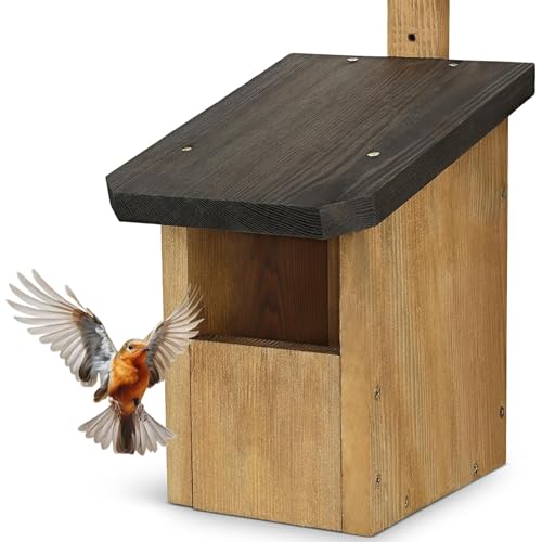 Waldfunk Halbhöhle Nistkasten für Rotkehlchen & Co. | Wetterfest & Massives Holz | Vogelhaus für Nischenbrüter | vollflächig imprägniert