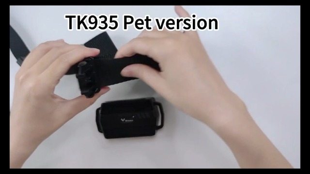 Localizzatore GPS 4G Per Cani TK911Pro | Senza Abbonamento | Batteria 700mAh | Allarme Luce E Suono | Analisi Attività