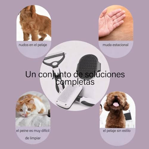 Reviews de El perro consentido los 5 más buscados. 19 Imagen adicional