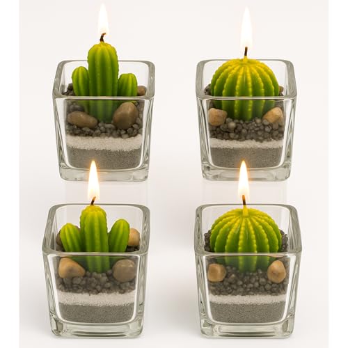damaloo 4x Kaktus Kerzen Set im Glas – 4er Set Kakteen Kerze Deko Grün – Mini Kerzenset - Kaktuskerzen im Glas - Kleine Teelichter in Kaktusform – Sukkulenten Dekoration für Frauen & Männer damaloo 4x Kaktus Kerzen Set im Glas – 4er Set Kakteen Kerze Deko Grün – Mini Kerzenset - Kaktuskerzen im Glas - Kleine Teelichter in Kaktusform – Sukkulenten Dekoration für Frauen & Männer