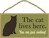 Plaque de porte Le chat vit ici. Tu es juste en visite ! C'est mignon Decoration maison