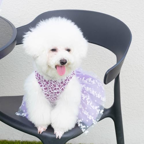Image of CuteBone Dog Birthday Dress Girl Puppy Skirt Tutu Cat Wedding Outfit Pet Party Clothes for Small Dogs Costume DD14M