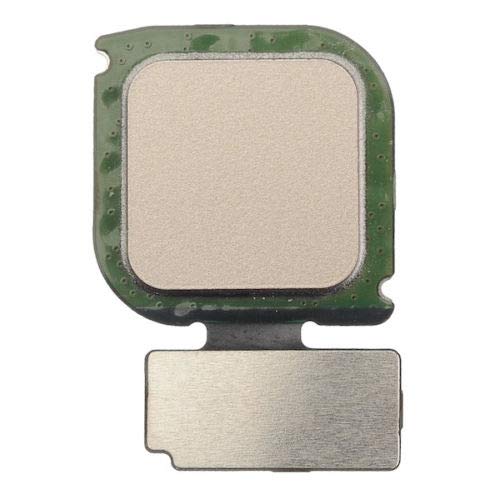 Flex + TASTO HOME+ LETTORE IMPRONTE FINGERPRINT