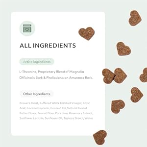 Reggie Anytime Calming Chews for Dogs | Natural Calming Dog Treats to Reduce Hyperactivity, Separation Anxiety, & Stress | Vet-Approved & Ideal for All Ages, Breeds, and Sizes – 60 Soft Chews