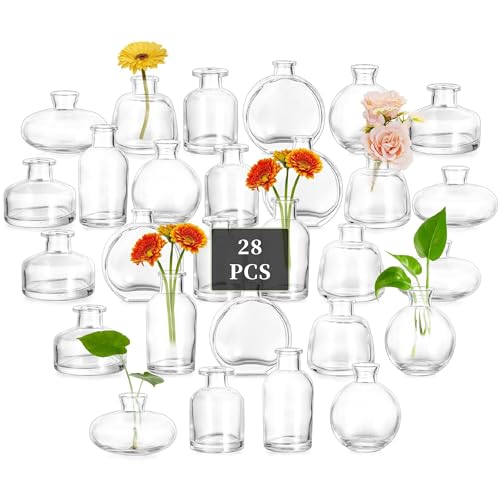 Glasseam Glass Bud Vases for Centerpieces: Set of 28 Bulk Small V...