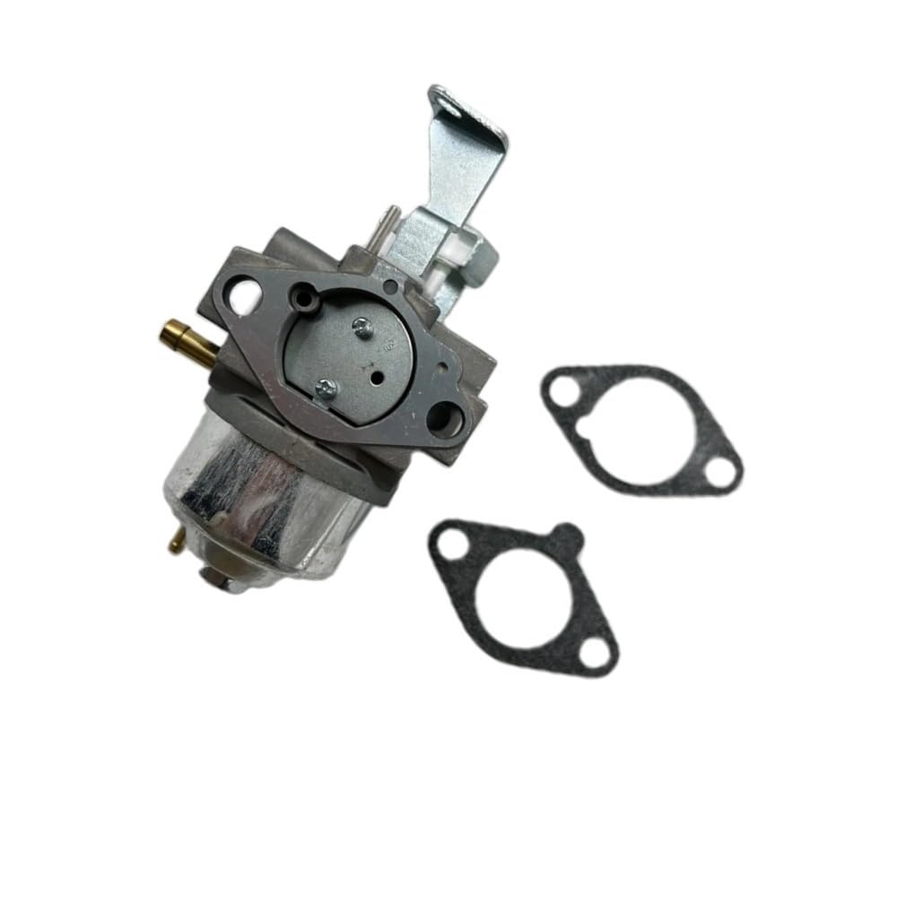 Carburateur pour 246432-0035-E1 entretien de jardin et tonte pelouse