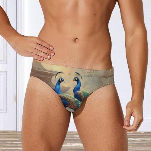 Peacocks Palace Men's Swim Brief Sexy Bikini Swimwear Swimsuit Trunks Bathing Suits4