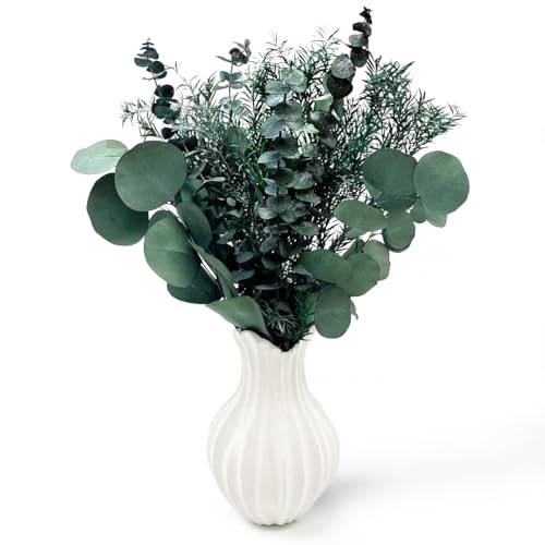 Flores secas preservadas, Verdes, Frescas, de eucalipto Real, Tallos y Ramas con 3 Tipos para arreglos Florales, decoración de Bodas y decoración del hogar