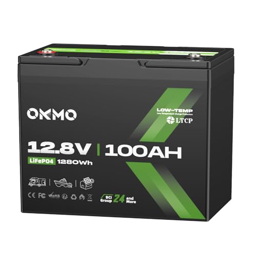 12V 100Ah LiFePO4 Battery, BCI Group 24, Built-in 100A BMS,