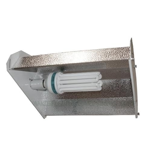 Florescent Light with Basic Reflector-125W