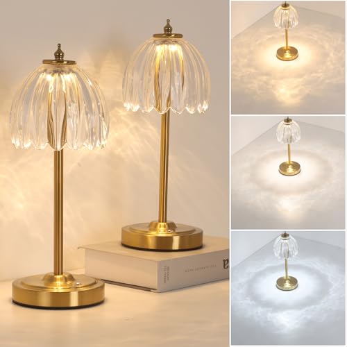 Image of Shenmoyl Set of 2 Tulip Table Lamp with 5000mAh Battery & Touch Control, Cordless Table Lamp with 3 Colors, Dimmable Rechargeable Table Lamps for Bedroom, Living Room, Entryways (Transparent Tulip)
