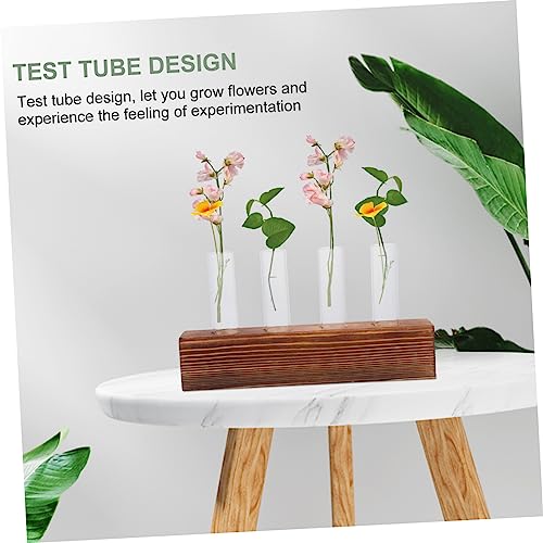 Jarrón hidropónico de vidrio Mobestech para plantas sin ensuciar la mesa 8