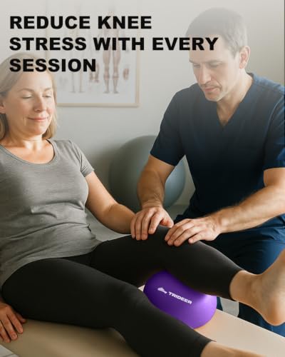 Image of Trideer Exercise Ball for Physical Therapy with Guide, 9 Inch Pilates Ball