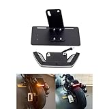 NEOCHIAEVO Motorcycle Tail Tidy Fender Eliminator Kit Rear Taillight Turn Signals Light with Side mount License Plate Bracket Compatible with Harley Sportster S 1250 RH1250S 2021+
